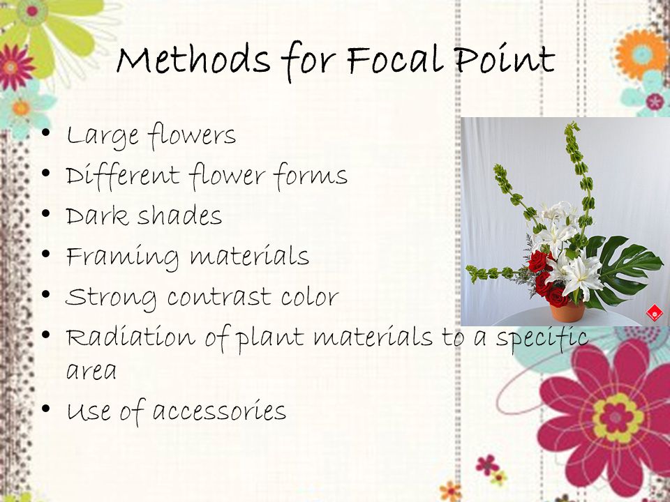 Trainer PowerPoint slide 8