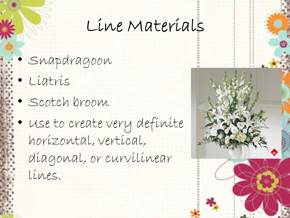 Trainer PowerPoint slide 11