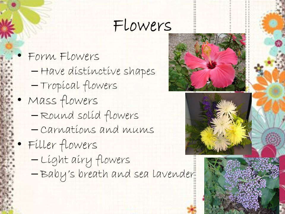 Trainer PowerPoint slide 13