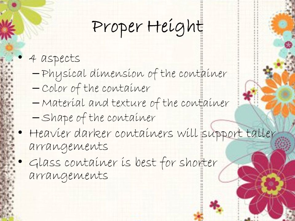 Trainer PowerPoint slide 17