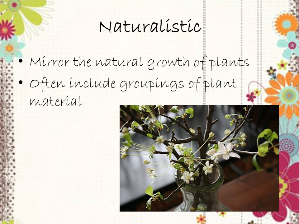 Trainer PowerPoint slide 18