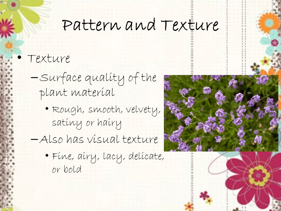Trainer PowerPoint slide 19