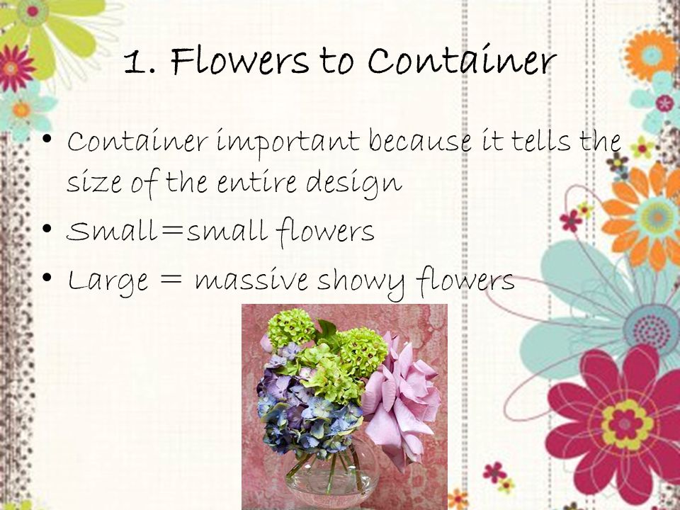 Trainer PowerPoint slide 41